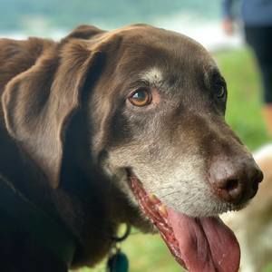 Meet your Posher, Cathy